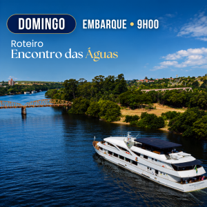 DOMINGO - NOVEMBRO/2026